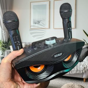 Garso_kolonele_karaoke