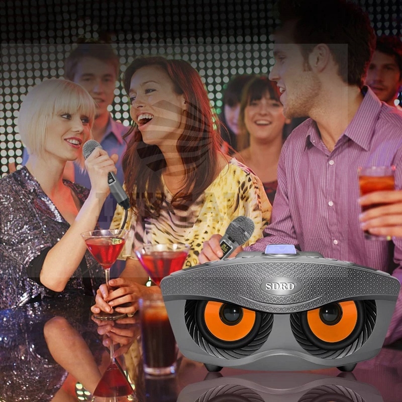 Garso_kolonele_karaoke