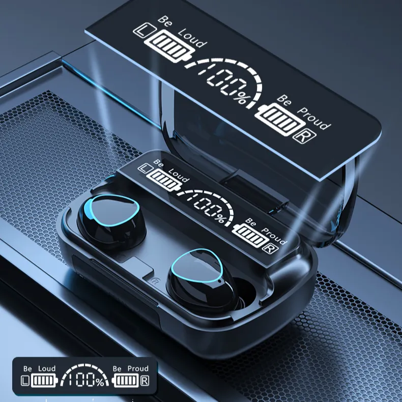 Belaides_ausines_M10