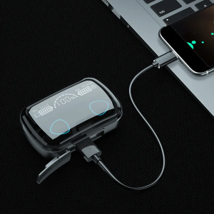 Belaides_ausines_M10